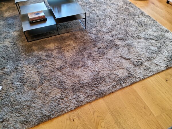 Teppich Savannah von JAB Anstoetz – Bild 2